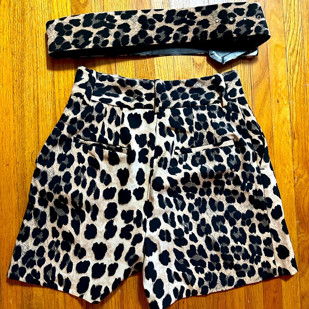 Zara High Waist Shorts with Belt - Size XS